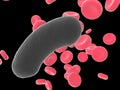 Bacterium on black background. Raster Ã¢ââ10 Royalty Free Stock Photo